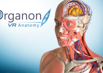 Biology with 3D Organon, Anatomy VR and Google Arts and Culture App_PL